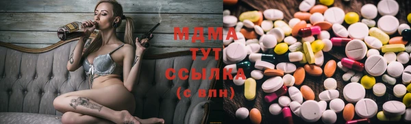 прущие грибы Баксан
