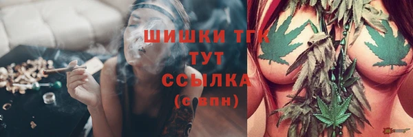прущие грибы Баксан
