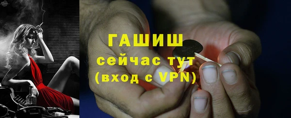 прущие грибы Баксан