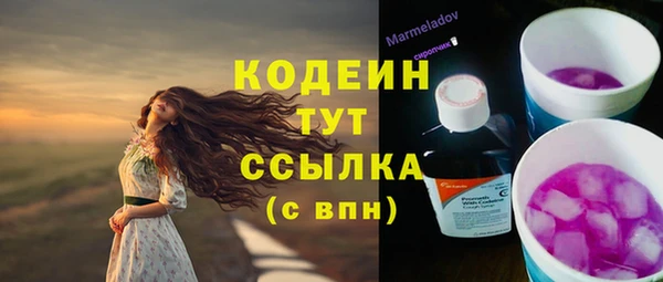 прущие грибы Баксан