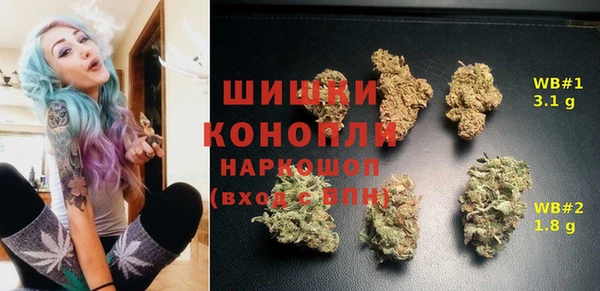 прущие грибы Баксан