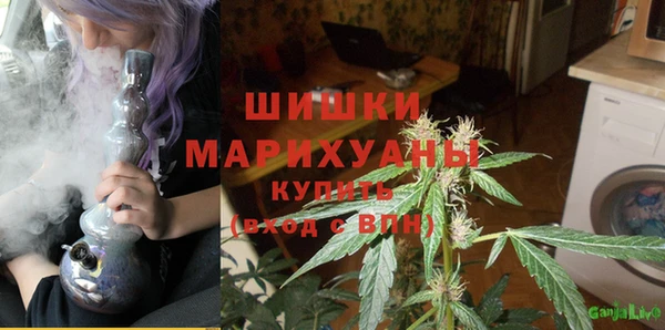 прущие грибы Баксан