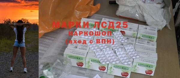 прущие грибы Баксан