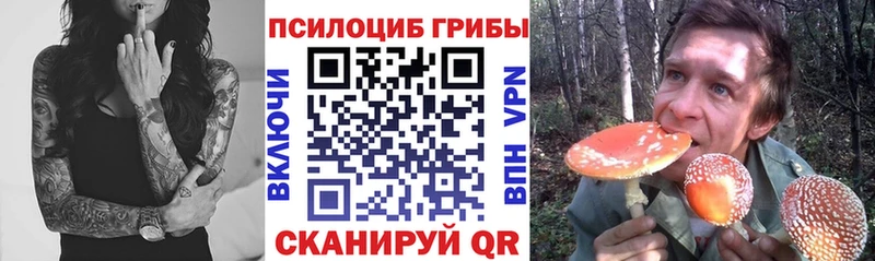 Псилоцибиновые грибы GOLDEN TEACHER  Купить где  Пикалёво 