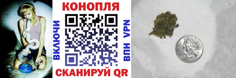 Шишки марихуана сатива  Купить где  Пикалёво 